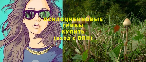 экстази Пестово