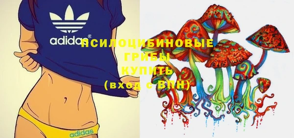 первитин Алексеевка