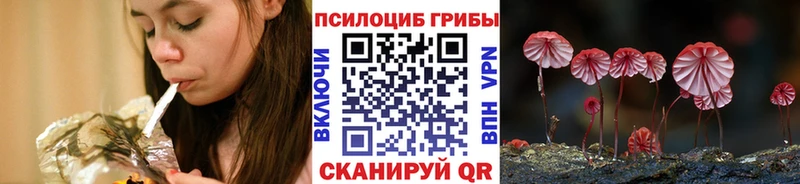 Псилоцибиновые грибы MAGIC MUSHROOMS где можно купить наркотик mega вход Покачи